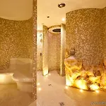 Arena & Wellness ホテル 3*
