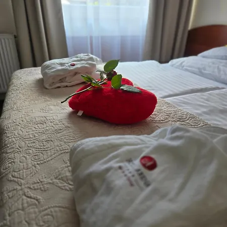 Hotel Arena & Wellness 3*