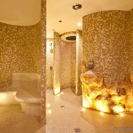 Arena & Wellness Hotel 3*