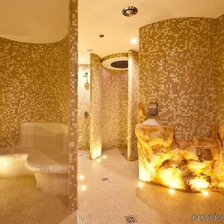 Arena Spa&wellness Hotel 3*