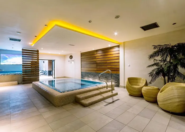 Arena & Wellness מלון 3*